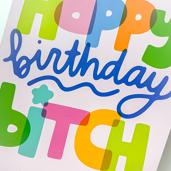 Birthday Bitch Gift Bag